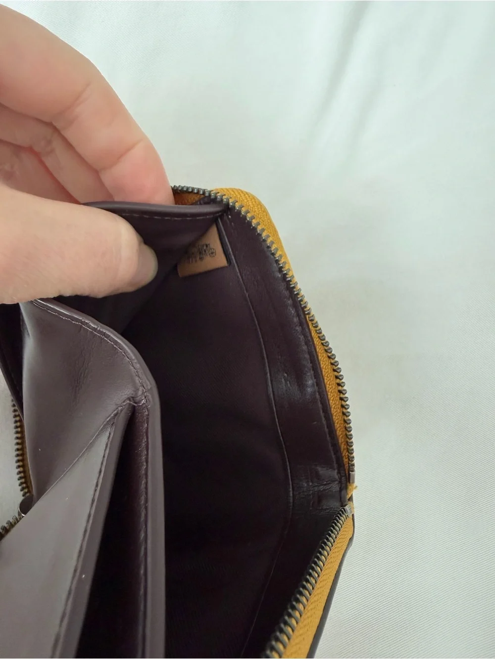 Coach Disney Pluto Bifold Wallet